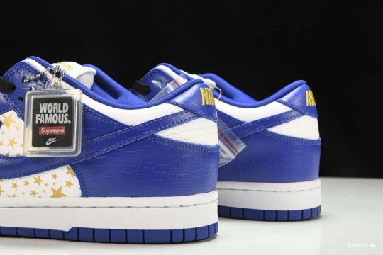 SB DH3228-100 Royal Low Hyper Nike Dunk Supreme Stars  0806